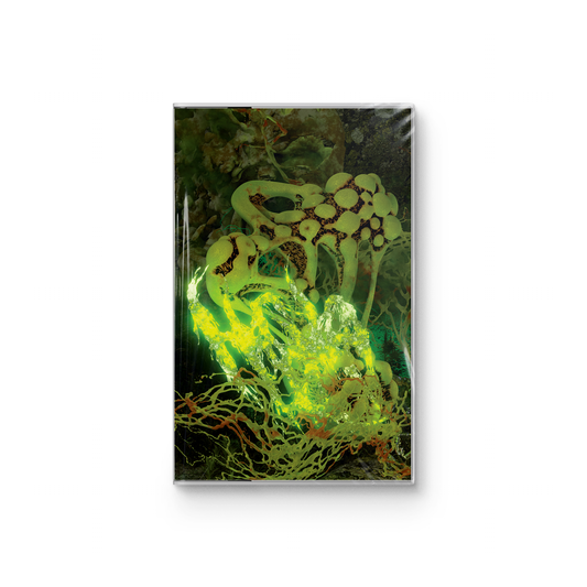 Item 9 "2" CASSETTE